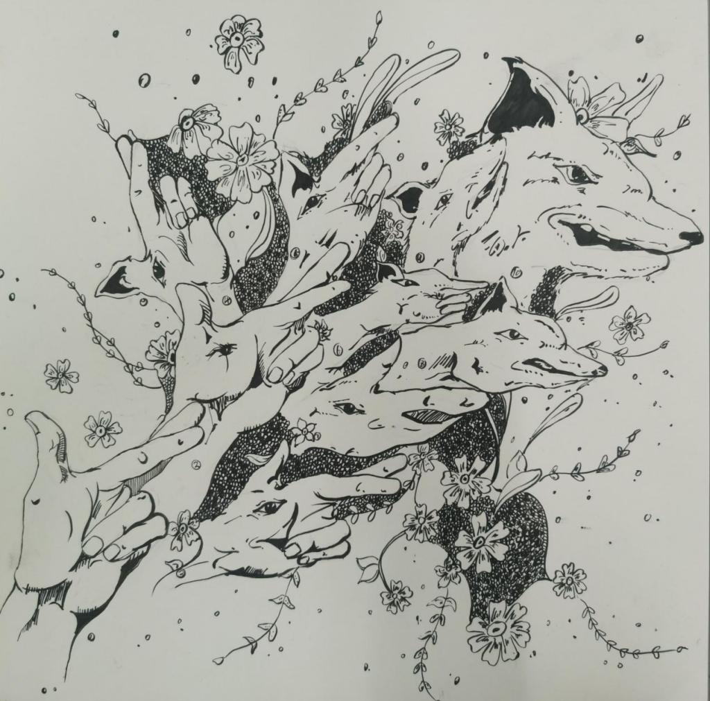 23023