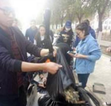 图片9