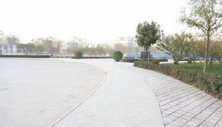 图片7